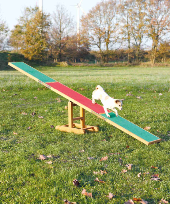 Trixie - Altalena Fun Agility