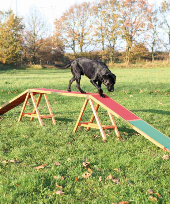 Trixie - Passerella Fun Agility
